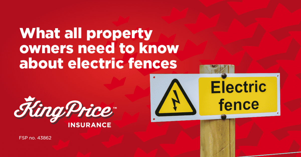 Electric fences: What all property owners need to know