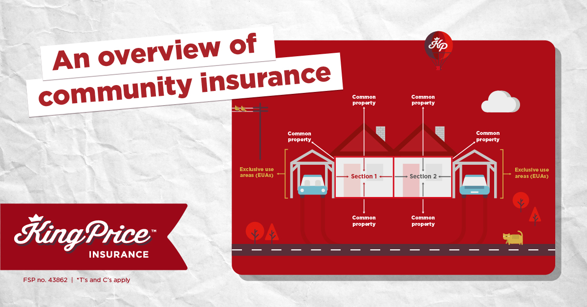 An overview of community insurance